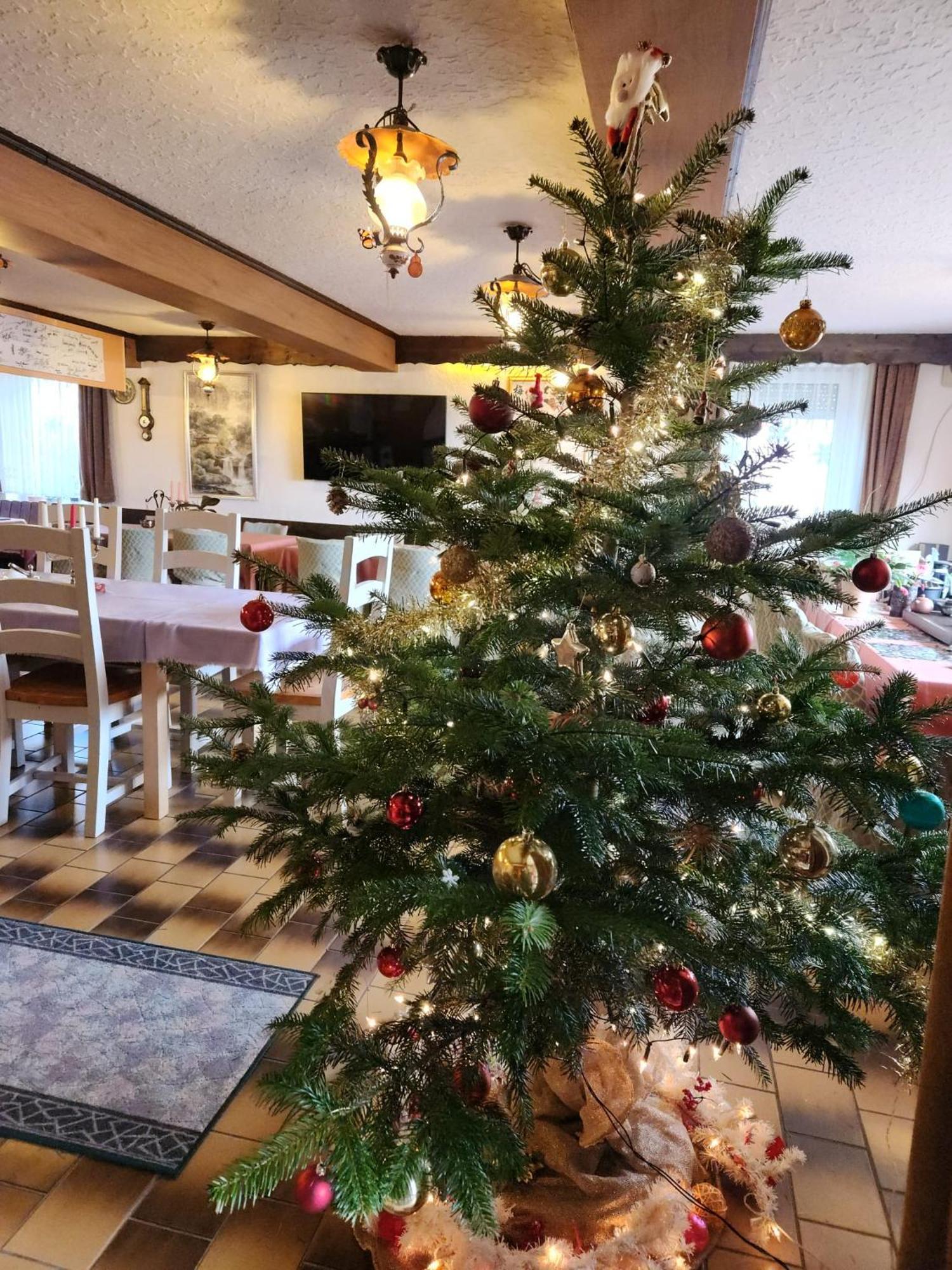 Gasthaus Hochwald Hattgenstein Екстериор снимка